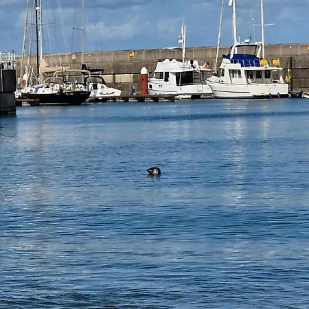 Modern Duplex In Lägenhet *