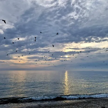 Modern Duplex In Lägenhet Greystones
