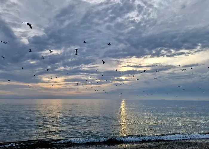Modern Duplex In 公寓 格雷斯通